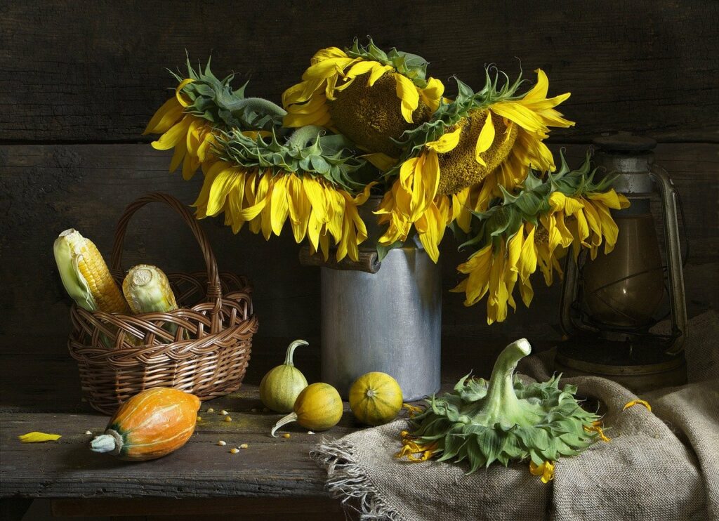 Stillleben eines Sonnenblumenstraußes